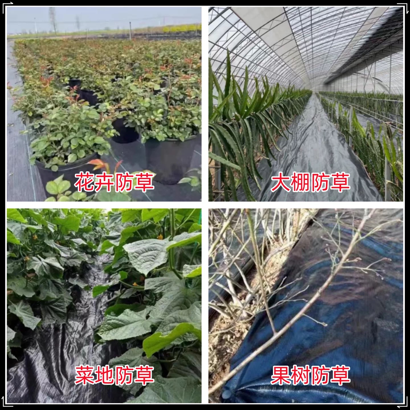 益广塑业有限公司（秦皇岛市办事处）