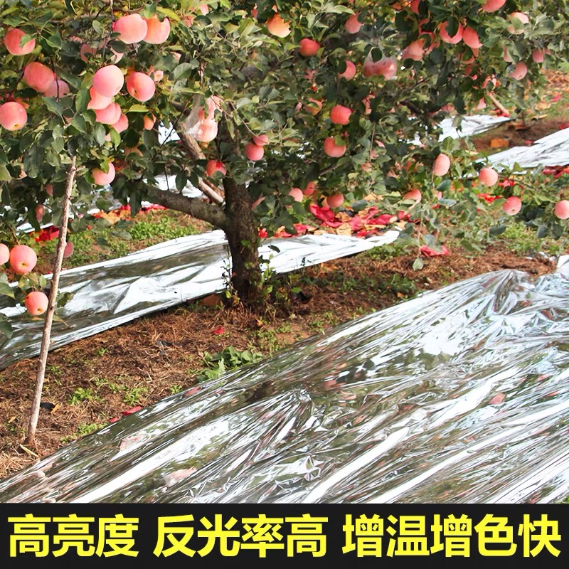 秦皇岛市防草布果树反光膜 - 价格